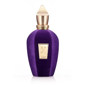 Xerjoff V Collection Accento Eau de Parfum 100 ml TESTER