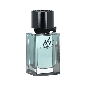 Burberry Mr. Burberry Eau de Toilette για άνδρες 100 ml