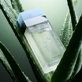 Dolce&Gabbana Light Blue Eau de Toilette για γυναίκες 50 ml