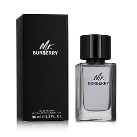 Burberry Mr. Burberry Eau de Toilette για άνδρες 100 ml