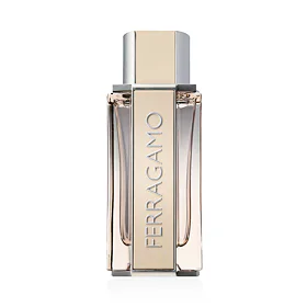 Ferragamo Ferragamo Bright Leather Eau de Toilette για άνδρες 100 ml