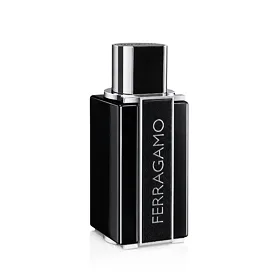 Ferragamo Sublime Leather Eau de Parfum για άνδρες 100 ml