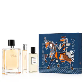 Hermes Terre D'Hermès σετ για άνδρες 1 τεμ