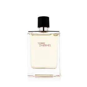 Hermes Terre d´Hermès Eau de Toilette για άνδρες 100 ml TESTER