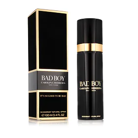Carolina Herrera Bad Boy Αποσμητικό για άνδρες 100 ml