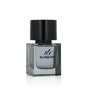 Burberry Mr. Burberry Eau de Toilette για άνδρες 50 ml